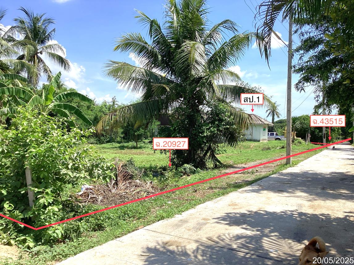 รูป บ้านเดี่ยว สำหรับขาย - ปราณบุรี ปราณบุรี ประจวบคีรีขันธ์ - รูปที่ 25/30