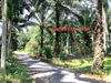 listing thumbnail image 30