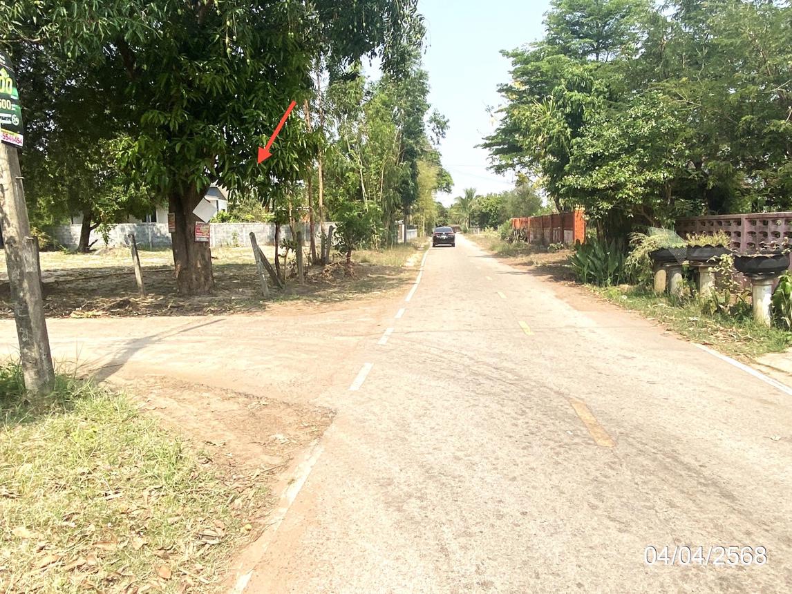 รูป ที่ดินว่างเปล่า สำหรับขาย - หนองใหญ่ โพนทอง ร้อยเอ็ด - รูปที่ 17/24