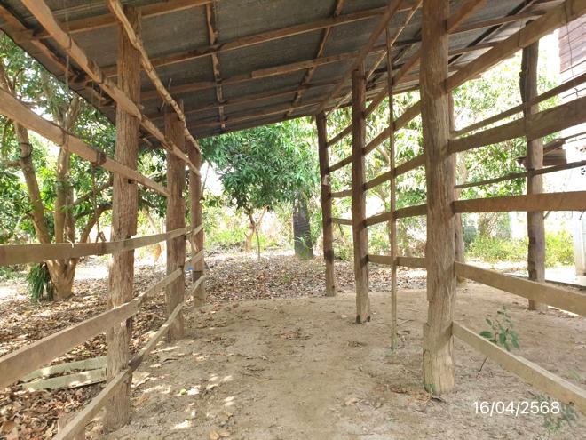 รูป บ้านเดี่ยว สำหรับขาย - ศรีเตี้ย บ้านโฮ่ง ลำพูน - รูปที่ 14/38