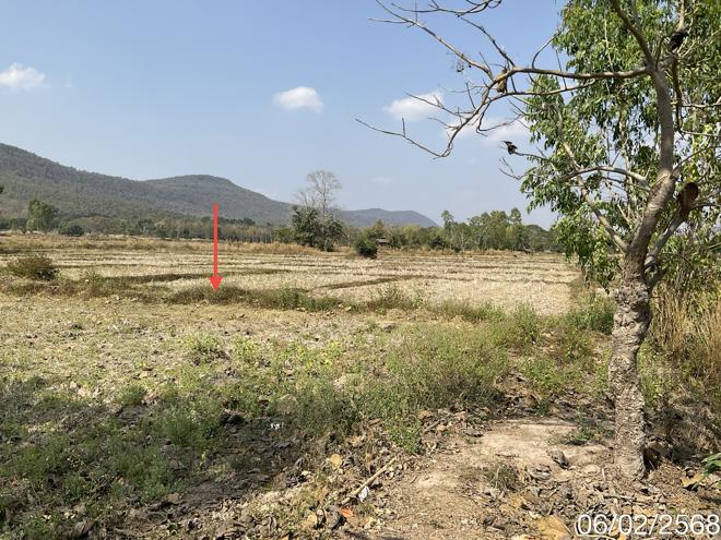 picture LAND for sale  Dong Chen Phu Kam Yao Phayao - 5/18