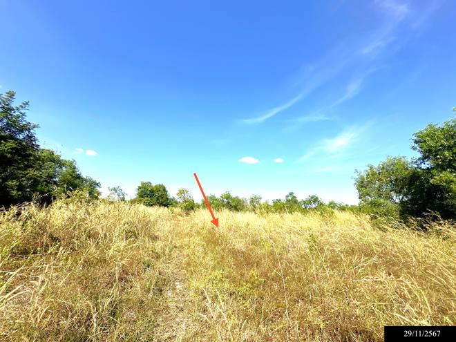 picture LAND for sale  Dong Khan Yai Kham Khuan Kaeo Yasothon - 8/24