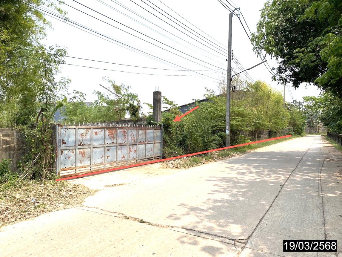 picture LAND for sale  Kalasin Muang Kalasin Kalasin - 7/14