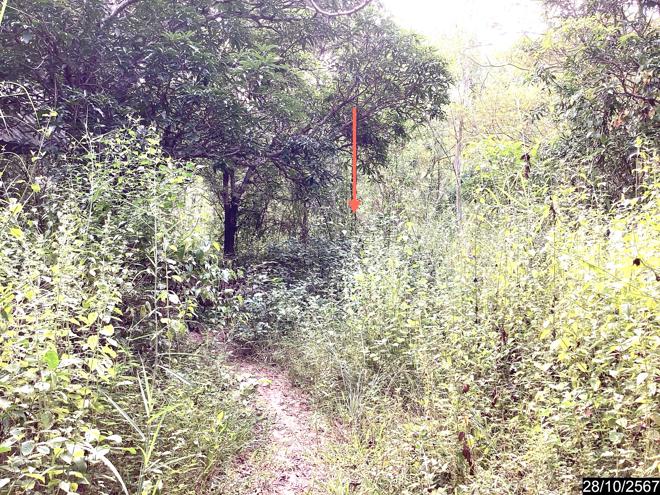 picture LAND for sale  Song Hong Muang Nong Khai Nongkai - 5/28