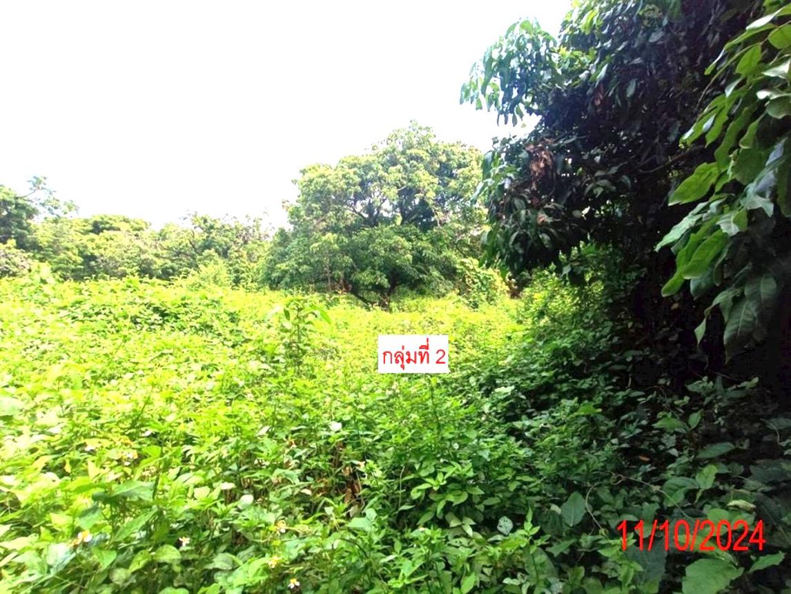 รูป บ้านเดี่ยว สำหรับขาย - หนองปลาสะวาย บ้านโฮ่ง ลำพูน - รูปที่ 25/30