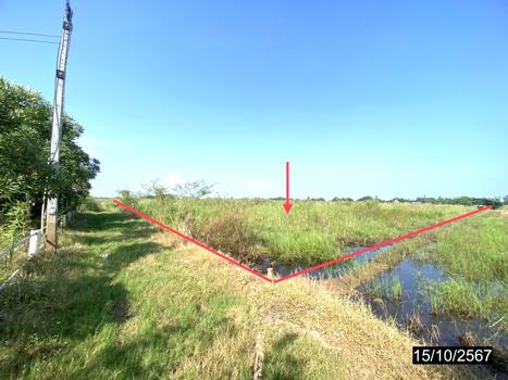 picture LAND for sale  Wang Phikun Wang Thong Phitsanulok - 13/16
