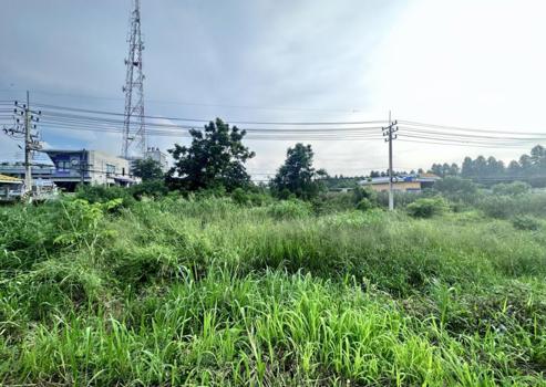 picture LAND for sale  Sa Kaeo Muang Sa Kaeo Srakaeo - 7/10