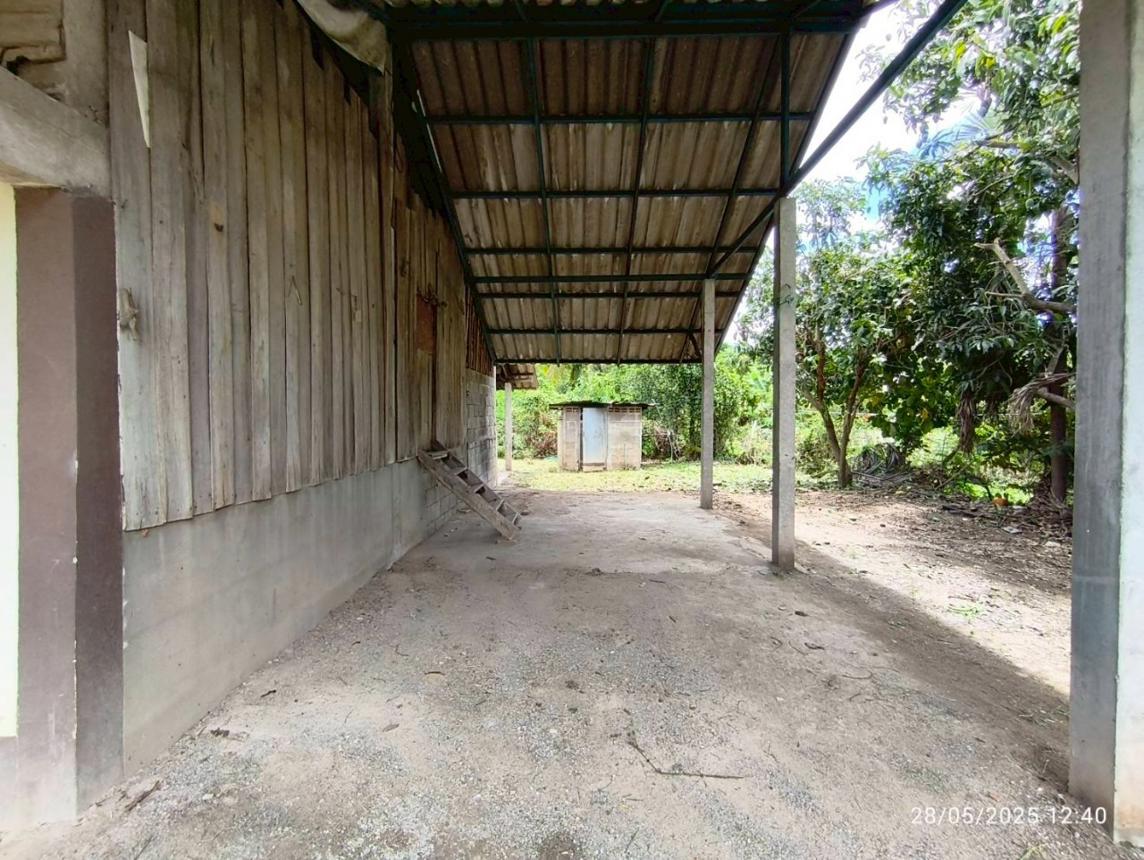 picture HOME for sale  Sop Tia Chom Thong Chiang Mai - 15/26