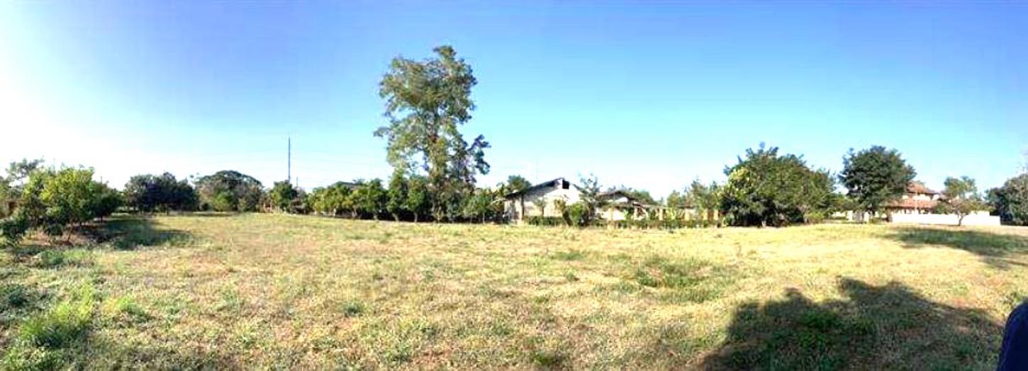 picture LAND for sale  Rim Tai Mae Rim Chiang Mai - 4/8