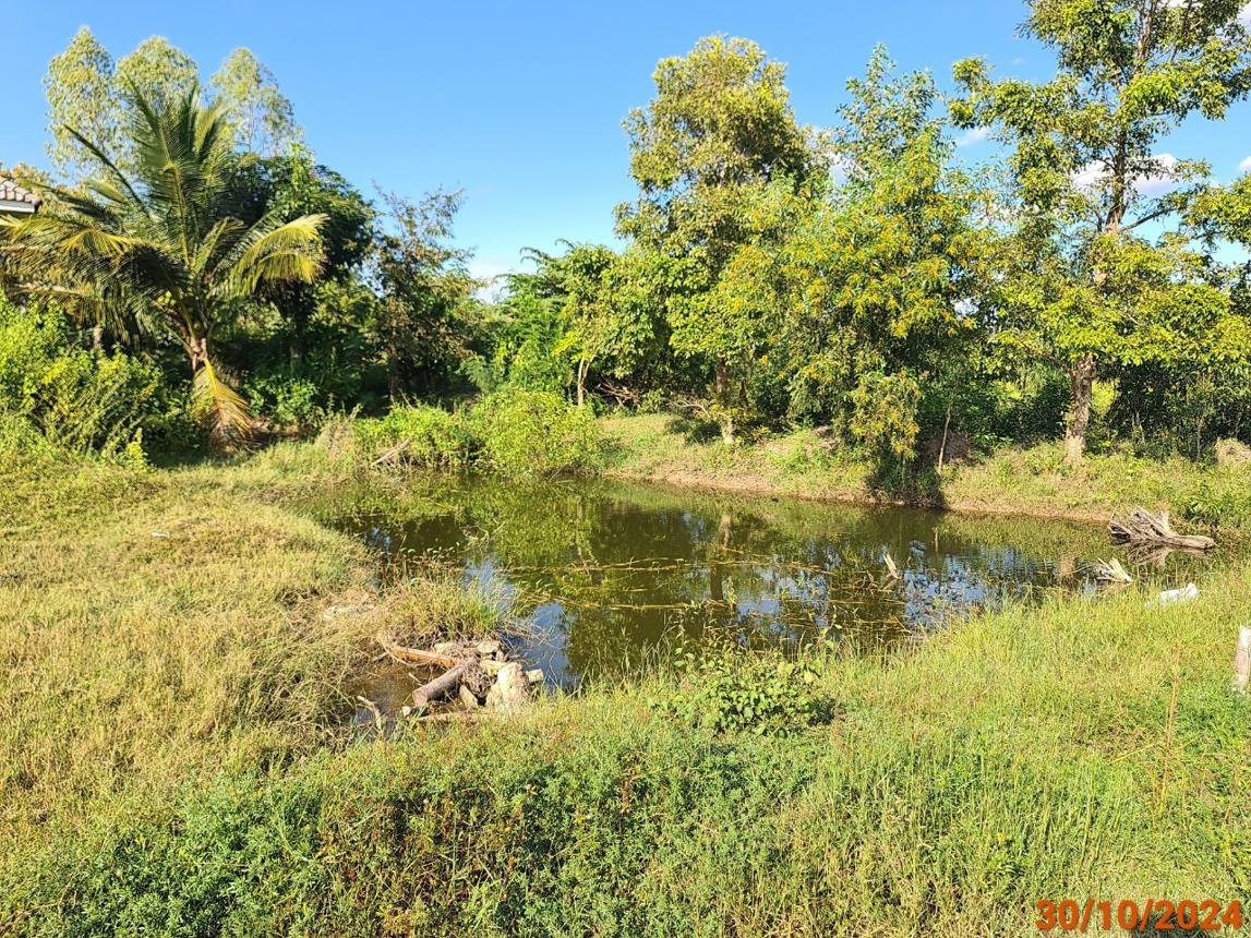 picture SHOP_HOUSE for sale  Nong Khaman Khu Muang Buri Ram - 34/40