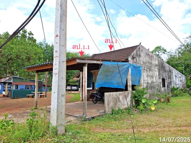 รูป บ้านเดี่ยว สำหรับขาย - บ้านนา ปะเหลียน ตรัง - รูปที่ 3/14