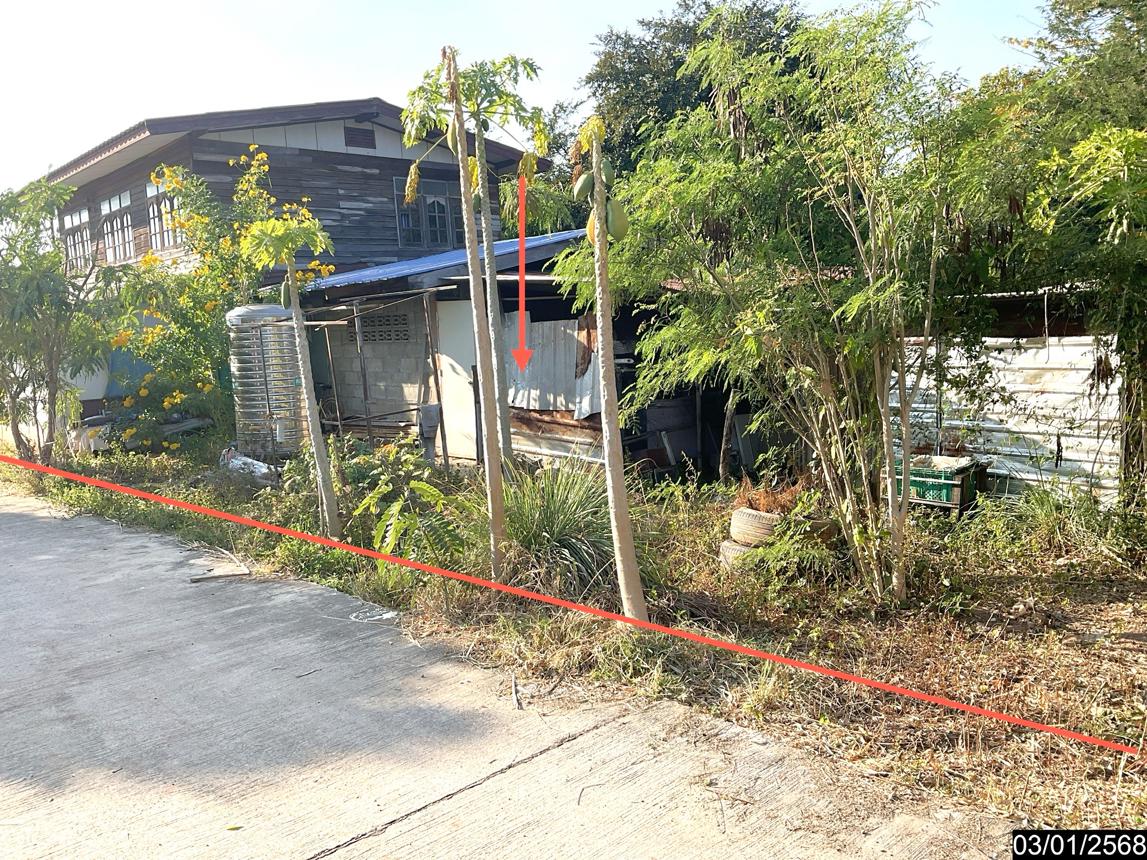 รูป บ้านเดี่ยว สำหรับขาย - หนองบัวใหญ่ จัตุรัส ชัยภูมิ - รูปที่ 8/14