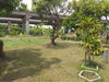 listing thumbnail image 8