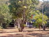 listing thumbnail image 12