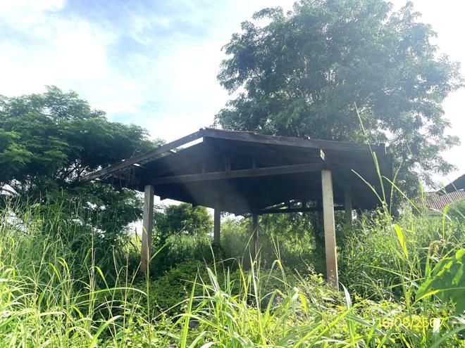 รูป บ้านเดี่ยว สำหรับขาย - มะต้อง พรหมพิราม พิษณุโลก - รูปที่ 14/44