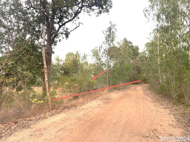 picture LAND for sale  Muang Hong Chaturaphak Phiman Roi Et - 4/18