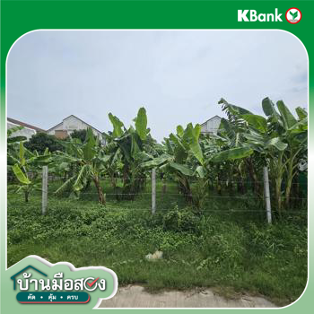 รูป ที่ดินว่างเปล่า สำหรับขาย  ตลาดบางเขน เขตหลักสี่ กรุงเทพมหานคร - รูปที่ 14/16