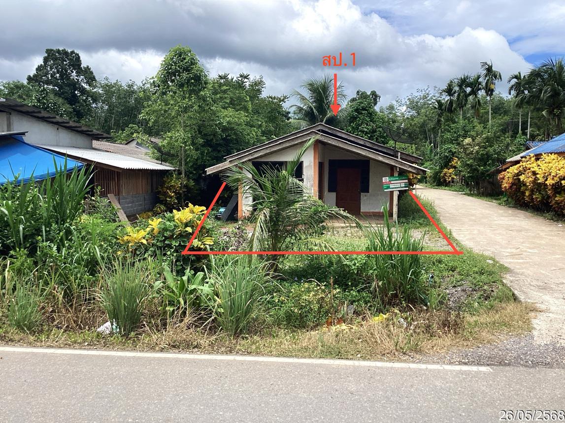 รูป บ้านเดี่ยว สำหรับขาย - ท่าแพ ท่าแพ สตูล - รูปที่ 8/16