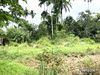 listing thumbnail image 18