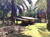 listing thumbnail image 29