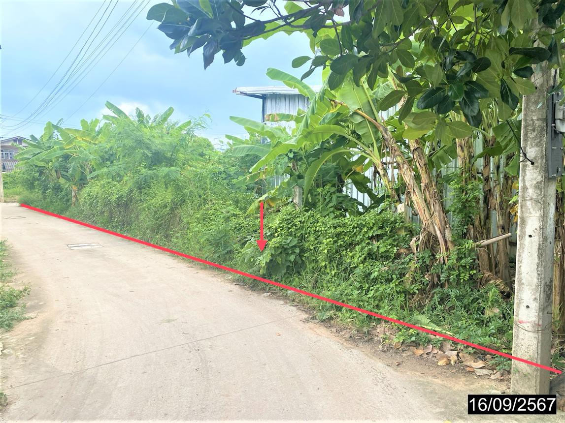 picture LAND for sale  Nai Muang Muang Khon Kaen Khon Kaen - 11/22