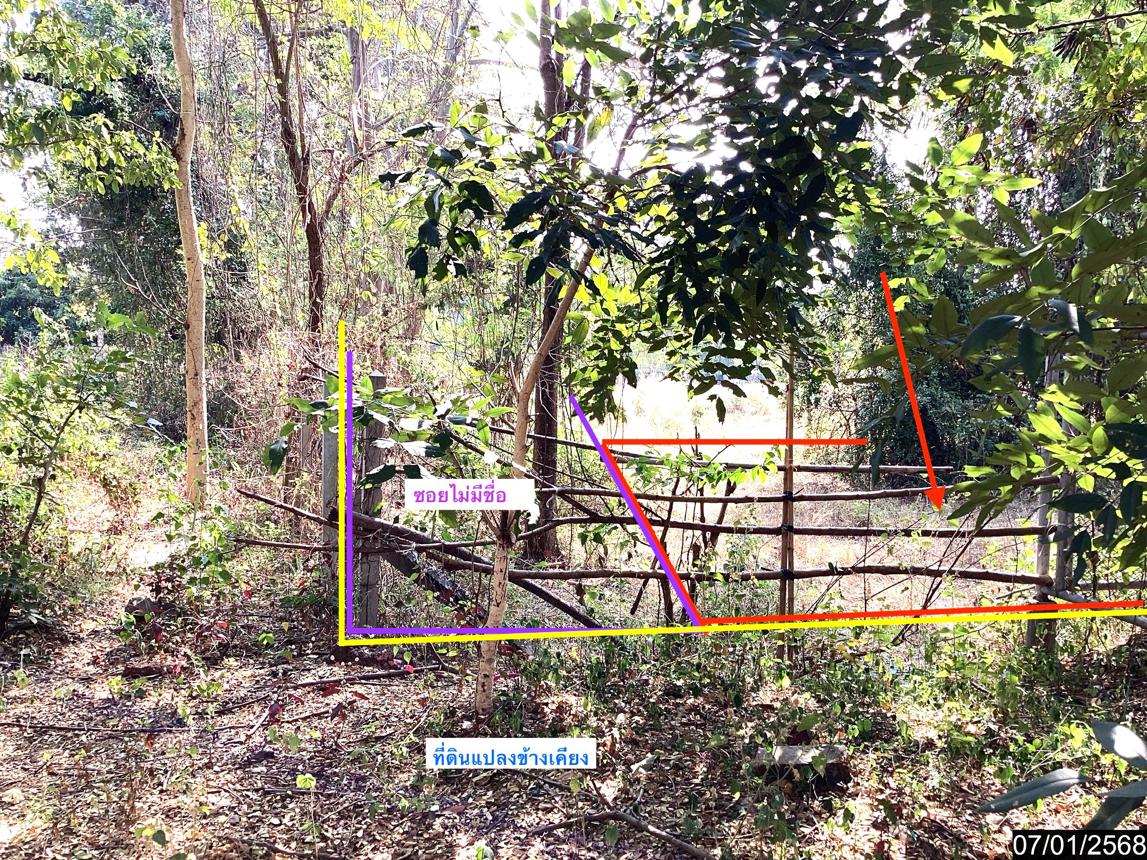 รูป ที่ดินว่างเปล่า สำหรับขาย - เชียงเครือ เมืองสกลนคร สกลนคร - รูปที่ 17/24