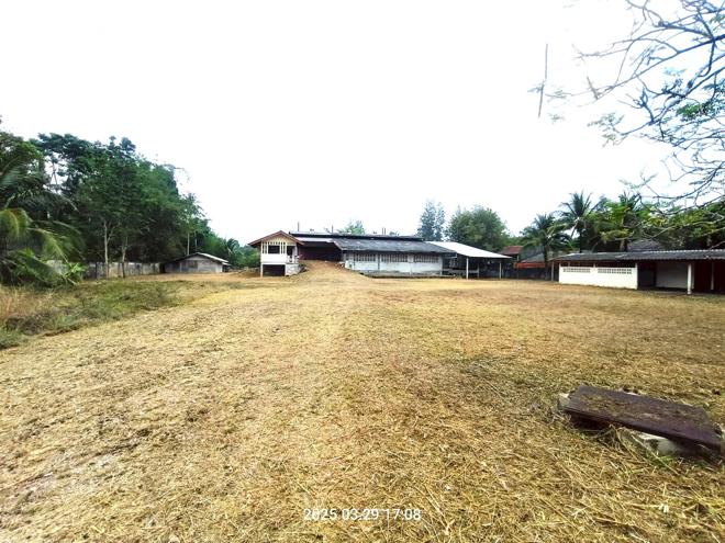 รูป บ้านเดี่ยว สำหรับขาย - ห้วยน้ำขาว คลองท่อม กระบี่ - รูปที่ 1/48