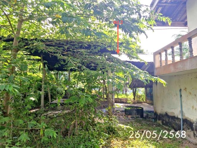 รูป บ้านเดี่ยว สำหรับขาย - บางดี ห้วยยอด ตรัง - รูปที่ 12/34