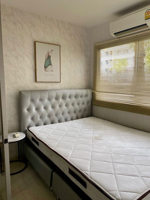 picture 🥳[Rent-RAR2508-2130]  Plum Condo. Fl.1*Washing machine *Near Bangkok University💚Line id: @thefirstagent** - 1/12