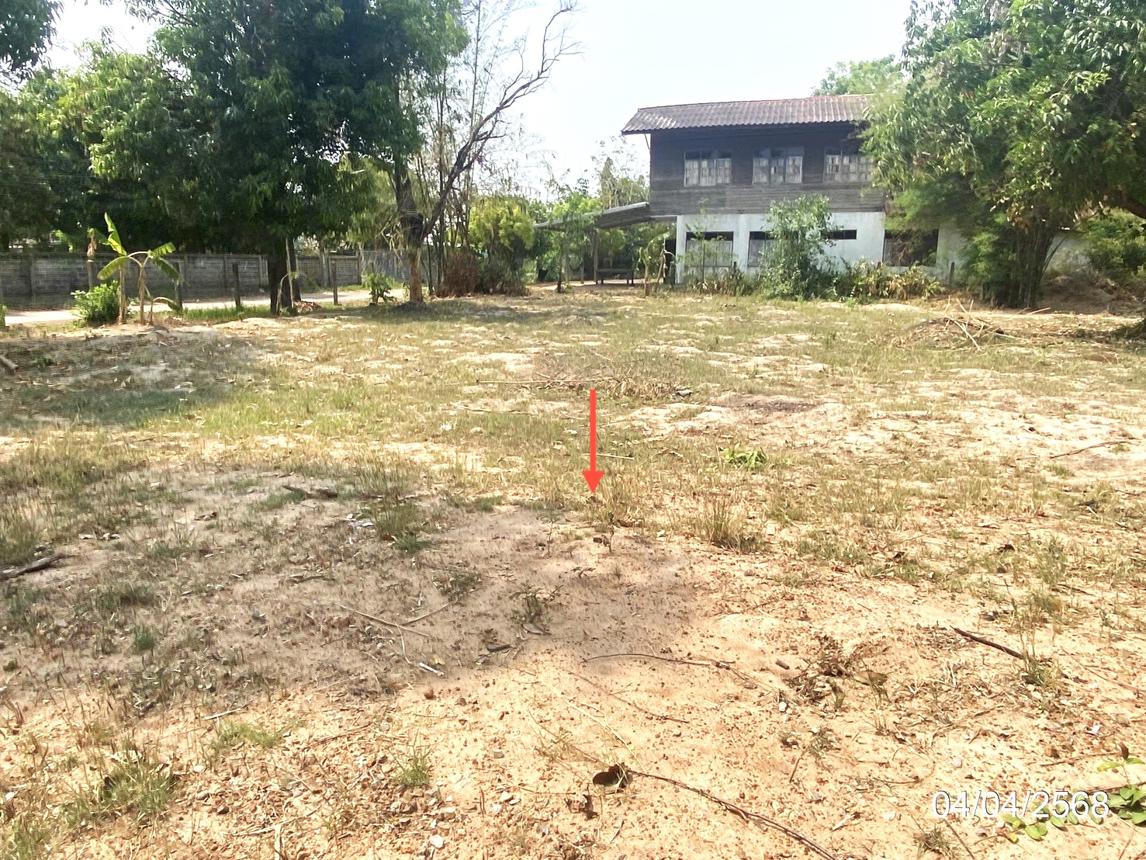 รูป ที่ดินว่างเปล่า สำหรับขาย - หนองใหญ่ โพนทอง ร้อยเอ็ด - รูปที่ 14/24