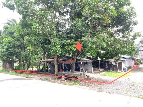 picture HOME for sale  Don Tro Chalermphrakiet Nakhon Sri Thammarat - 21/24