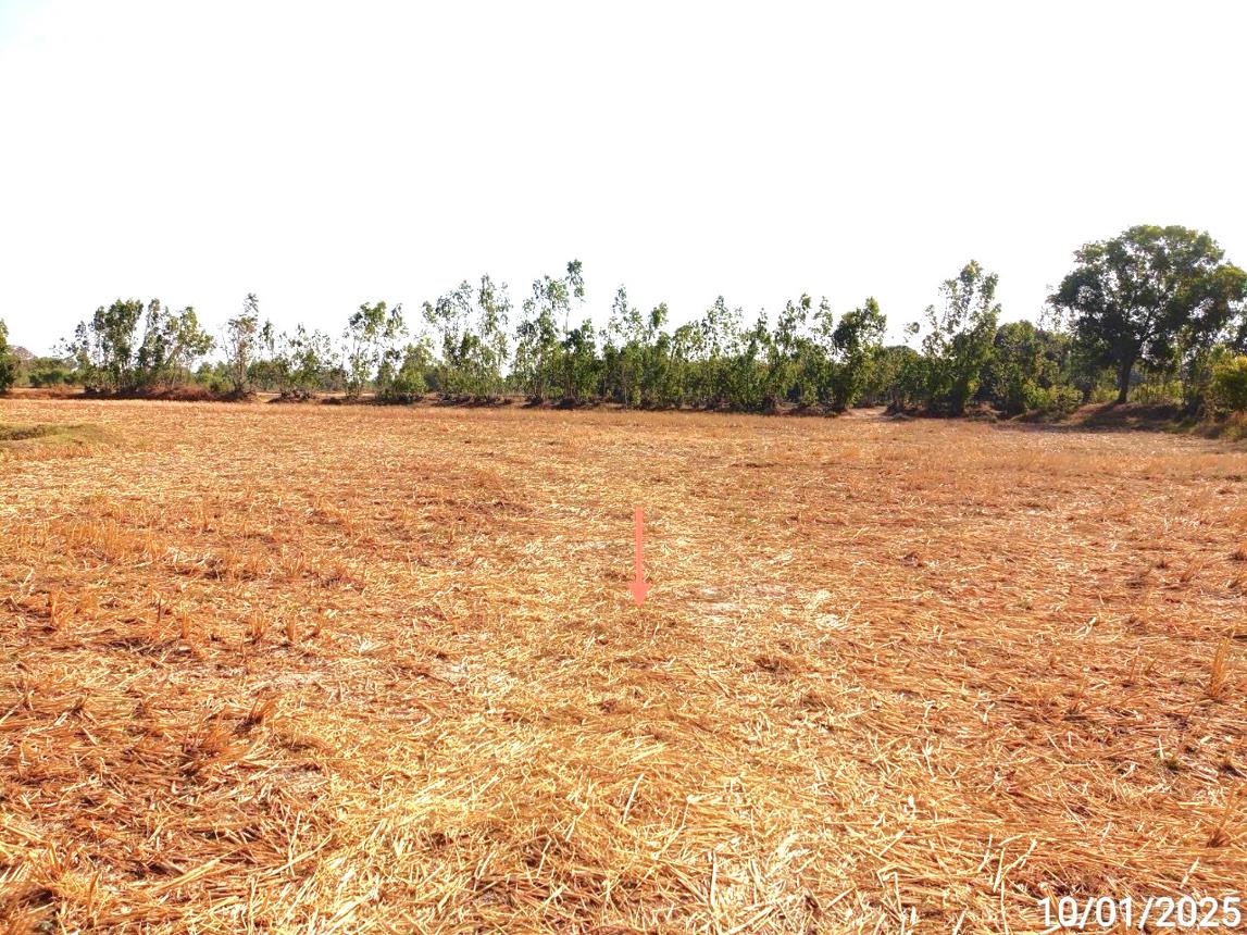 picture LAND for sale  Nam Sai Chaturaphak Phiman Roi Et - 10/14