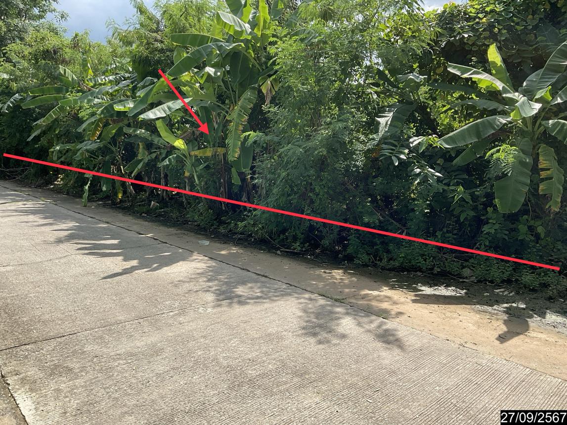 picture LAND for sale  Nai Muang Muang Khon Kaen Khon Kaen - 11/20