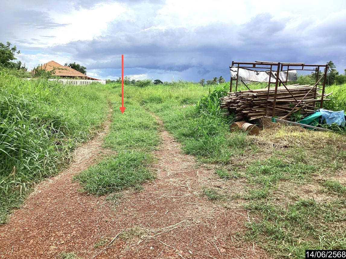 picture LAND for sale  Pho Chai Muang Nong Khai Nongkai - 9/14