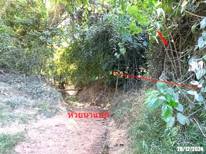 รูป ที่ดินว่างเปล่า สำหรับขาย - เวียงคำ กุมภวาปี อุดรธานี - รูปที่ 9/24