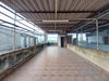 listing thumbnail image 41