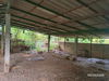 listing thumbnail image 17