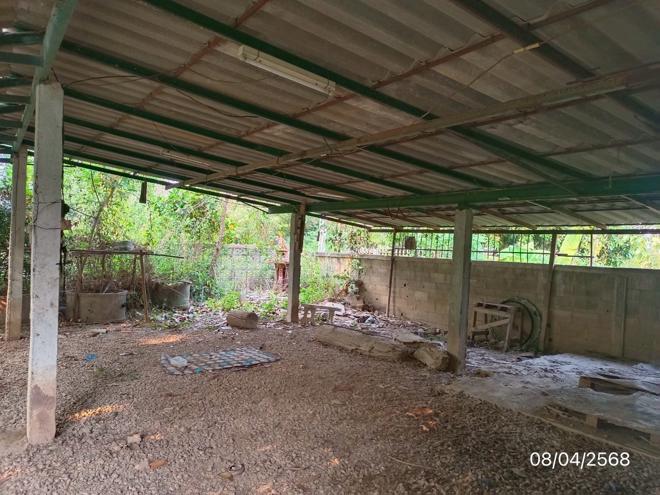 picture HOME for sale  Tha Cham Pi Muang Phayao Phayao - 18/44