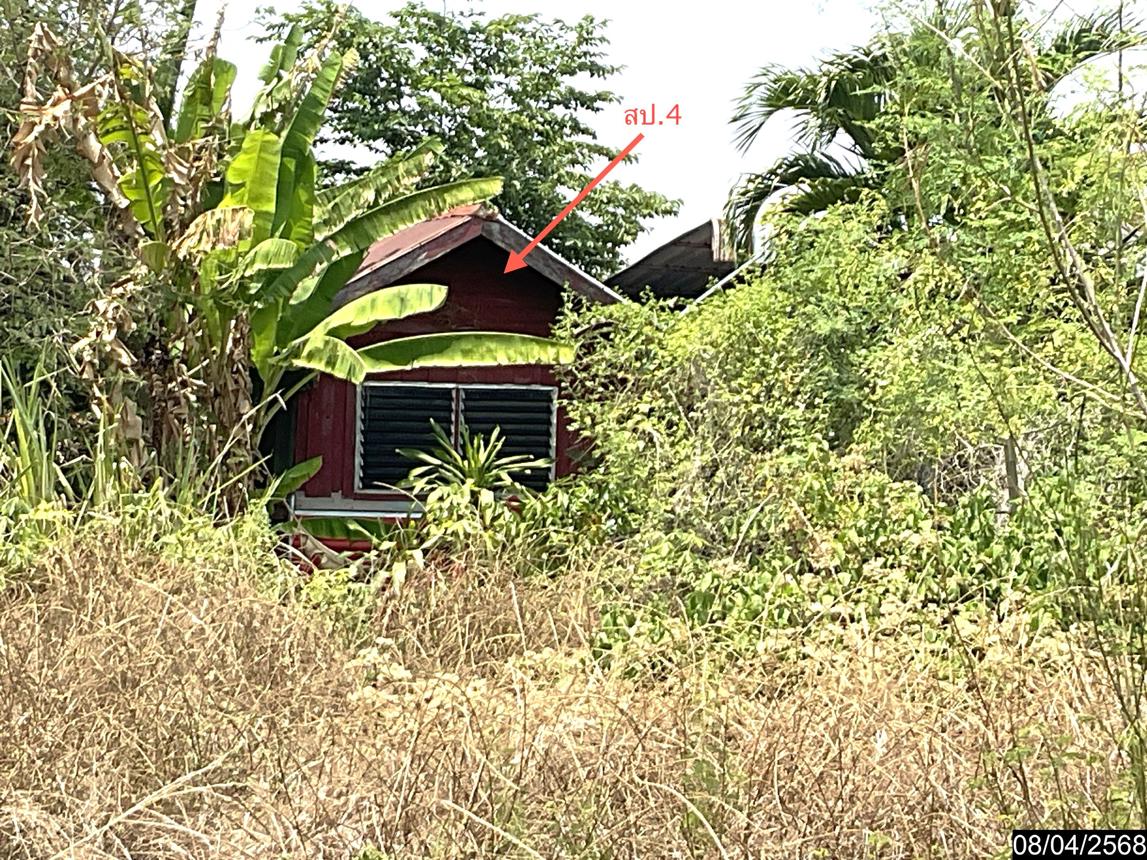 รูป บ้านเดี่ยว สำหรับขาย - หัวทะเล บำเหน็จณรงค์ ชัยภูมิ - รูปที่ 15/26