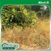 listing thumbnail image 19