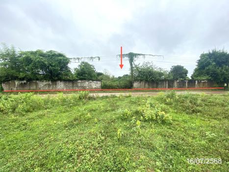 picture LAND for sale  Huai Mek Huai Mek Kalasin - 13/16