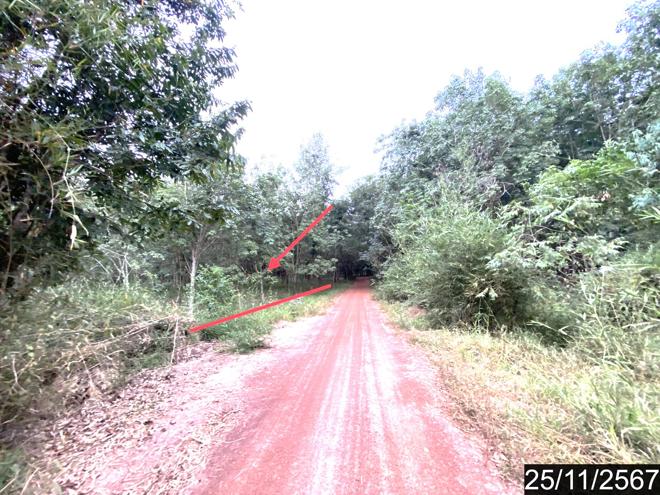 รูป ที่ดินว่างเปล่า สำหรับขาย - ขอนยูง กุดจับ อุดรธานี - รูปที่ 9/24
