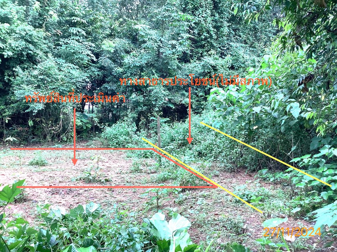 รูป ที่ดินว่างเปล่า สำหรับขาย - ทับเที่ยง เมืองตรัง ตรัง - รูปที่ 8/18