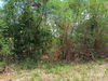 listing thumbnail image 24