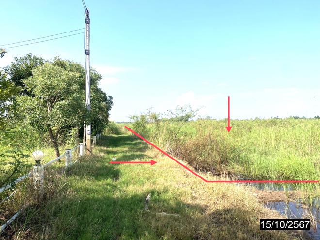 picture LAND for sale  Wang Phikun Wang Thong Phitsanulok - 3/16