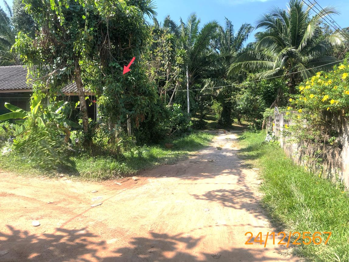 รูป บ้านเดี่ยว สำหรับขาย - ศาลาด่าน เกาะลันตา กระบี่ - รูปที่ 10/16