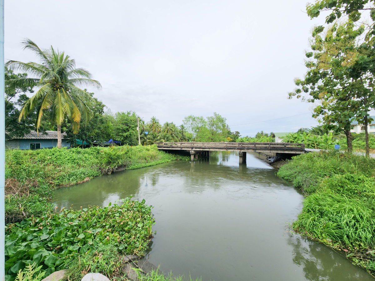 รูป ขายด่วน! ที่ดินพร้อมสวนมะพร้าวบ้านแพ้วกว่า 8 ไร่! ราคาดี ในหนองนกไข่ กระทุ่มแบน สมุทรสาคร ผังเมืองเขียวลาย หน้ากว้าง 80 เมตร ลึก 160 เมตร  - รูปที่ 11/17