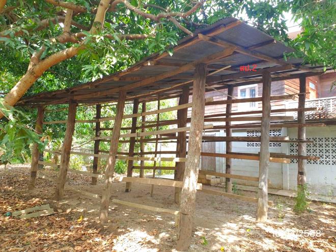 รูป บ้านเดี่ยว สำหรับขาย - ศรีเตี้ย บ้านโฮ่ง ลำพูน - รูปที่ 13/38