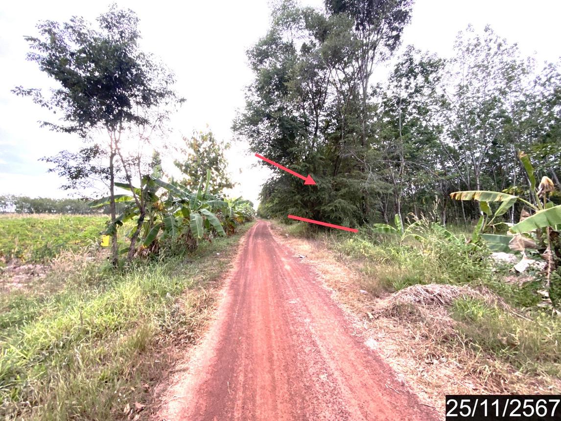 รูป ที่ดินว่างเปล่า สำหรับขาย - ขอนยูง กุดจับ อุดรธานี - รูปที่ 17/24