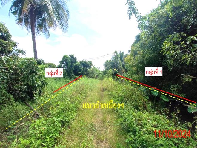 รูป บ้านเดี่ยว สำหรับขาย - หนองปลาสะวาย บ้านโฮ่ง ลำพูน - รูปที่ 10/30